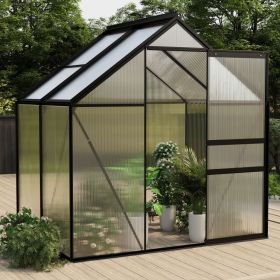 Greenhouse Anthracite Aluminum 26.6 ft¬≤