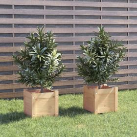 Garden Planters 2 pcs 12.2"x12.2"x12.2" Solid Wood Pine