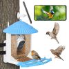 Solar Powered Smart Bird Feeder 2K Bird Watching Camera With PIR Motion AI Birds Species Identify Two-Way Audio Real-Time App Notification Capture Vid