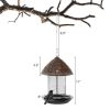 Hanging Bird Feeder with Perch and Drain Holes