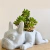 1pc Mini Resin PuppyFlower Pot, Succulent Planter, French Bulldog Shape Cute Bonsai Flower Pots, Cute Dog Flower Pots, Air Plant Holder