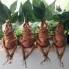 1pc Magical Mandrake Garden Statue - Perfect For Outdoor Decoration And Landscaping!