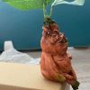 1pc Magical Mandrake Garden Statue - Perfect For Outdoor Decoration And Landscaping!