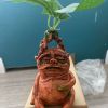 1pc Magical Mandrake Garden Statue - Perfect For Outdoor Decoration And Landscaping!