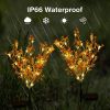 2 Pack Aritificial Canola Flowers Lights, Outdoor Solar Garden Lights Waterproof Decorative LED Solar Flower Lights for Patio Garden Yard Lawn