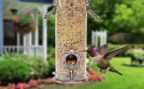 hummingbird  Feeder ; Outdoors Hanging - Premium Grade Metal Tube ; Chew-Proof; Weather and Water Resistant